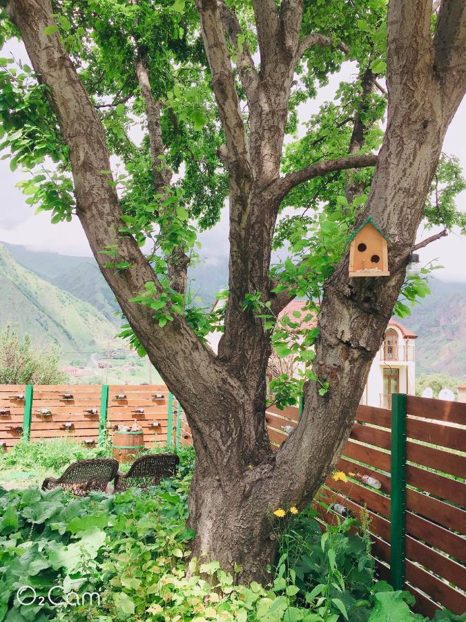 Greenhill Kazbegi Exterior foto